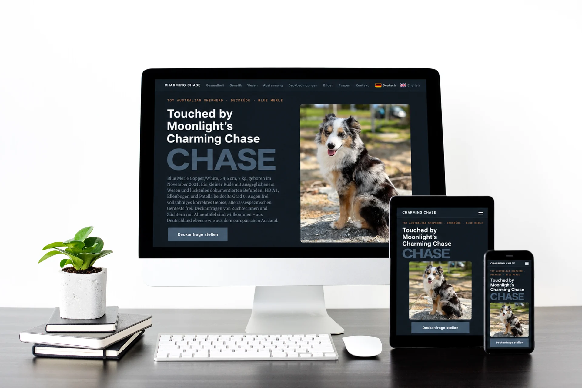 Responsive-Mockup der zweisprachigen Deckrüden-Website Charming Chase auf drei Geräten